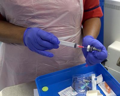 What is immunotherapy and how does it treat cancer and other conditions?
