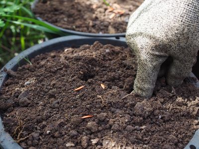7 Dry Soil Adaptations That Improve Survival