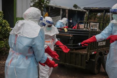 New Ebola strain vaccine could be ready within months, Oxford scientists say