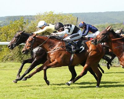 British trainers warned to be vigilant amid surge in cases of equine flu