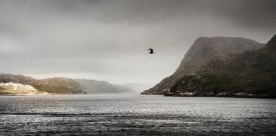 John of John: weaving an island tale of secrets that lie beneath repression and shame