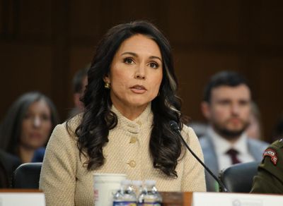 US intelligence director Tulsi Gabbard leaving post after rocky tenure