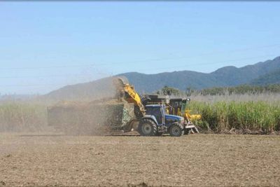 Sugarcane-derived bio-oil eyed as huge waste-saver