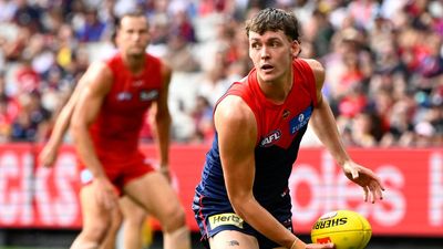 'A bit early': Dees play down flag chances as Dogs loom