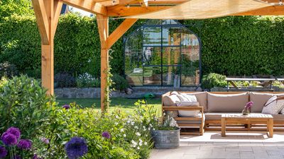 5 plants you should never place near your patio if you want to avoid pests