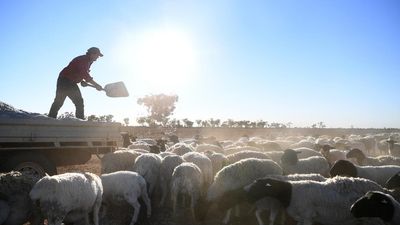 'Good thanks': farmer's mental health story hits home