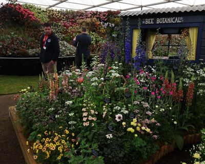 For peat’s sake: RHS faces conservative backlash over Chelsea flower show