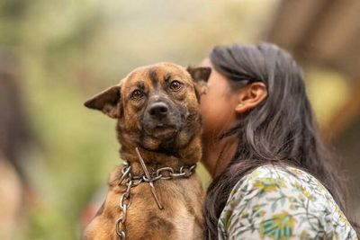 7 Movie Dogs Whose Real Stories Will Surprise You