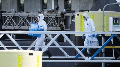 Is Hantavirus a threat to Europe? Climate change and habitat destruction are increasing the risk