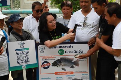 DNA study finds multiple blackchin tilapia sources