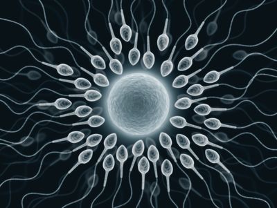 On the attack: The sperm donors preying on London's women