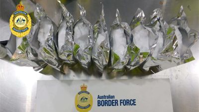 Indian national arrested after $5.6 million meth-making chemical found hidden in food consignment at Sydney port