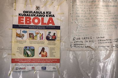 WHO Warns Ebola Outbreak in Congo Now Poses 'Very High' Risk With 82 Cases and 7 Deaths