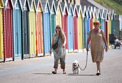 Don't be barking: The seven-second test on whether to walk your dog in a heatwave