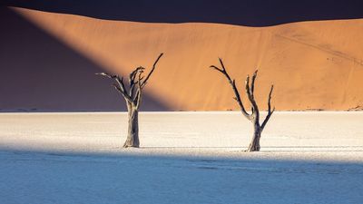10 landscape photography techniques that pros use for better results