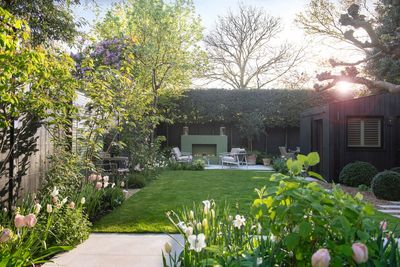 This Is How You Should Rearrange Your Garden to Make the Most of the Sun — Make Your Layout Match the Journey of the Light