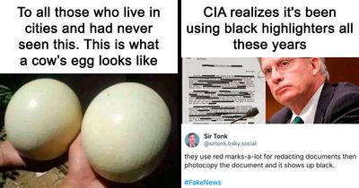 57 People Who Fell For Satire So Hard It Became Embarrassing (New Pics)