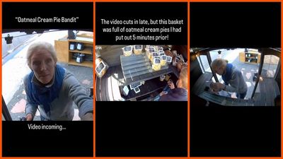 Elderly Colorado woman visits a bakery, then turns into the ‘oatmeal cream pie bandit who thanks the camera and flees