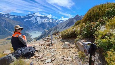 The hunt is on for super-killer hedgehogs and cats in alpine wonderland