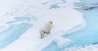 Is climate education in primary schools doing more harm than good?