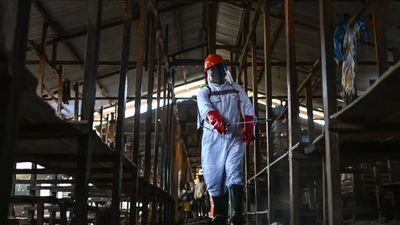 867 cases, 204 dead, no vaccine: Ebola outbreak spirals in DRC; Uganda closes border