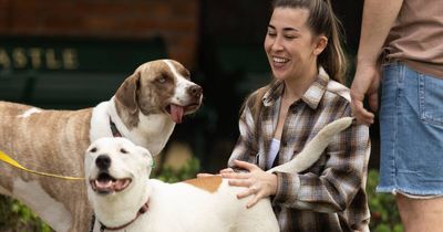 'There's so many dogs': Newcastle goes barking mad for Pets Life Festival