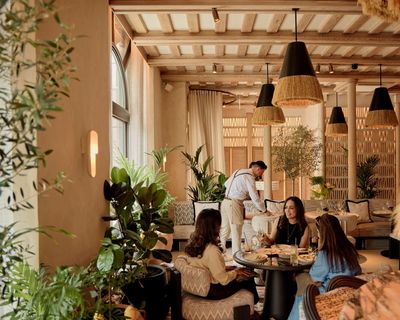 Fenix, London W1: ‘Big, bright, brash, dumbed down, shameless and open to all’ – restaurant review