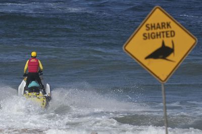 Shark attack kills 39-year-old man while fishing off Queensland coast near Hull Heads, just a week after another fatal incident in Western Australia