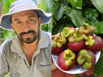 Bengaluru techie quit his high-paying corporate job to become a farmer. Today, his farm makes more than most salaried professionals