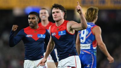 Demons' loss not on Langford's shoulders: King