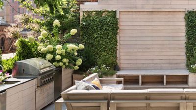 The 5 Pretty Garden Plants That Look Great, but Actually Lack Scent — What to Pick Instead for a Fragrant Patio