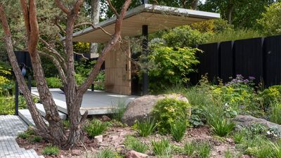 We Love the ‘Intentional Sparse’ Garden Trend – 6 Reasons Why Planting Less Can Look More Expensive