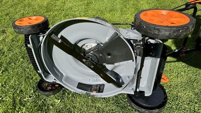 Your mower blade is probably blunt – here’s how to sharpen it in 5 simple steps