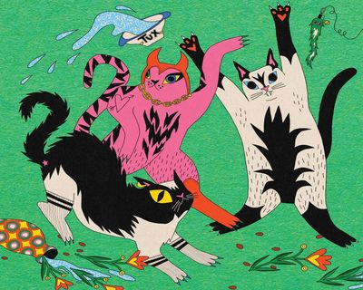 Your indoor cat is bored. Here are toys and tools to fix that