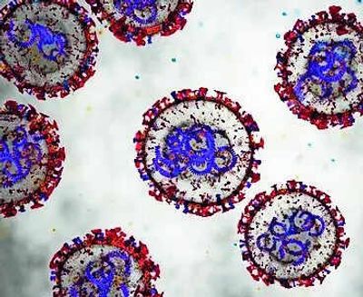Hantavirus scare a wake-up call: Why India must build its disease X defences