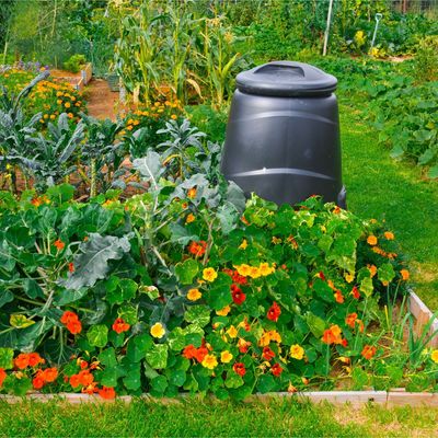 5 things you should never put in a compost bin following the new garden waste disposal rules in England