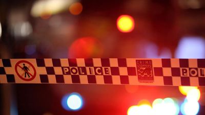 Man allegedly stabs two, sets fire to home