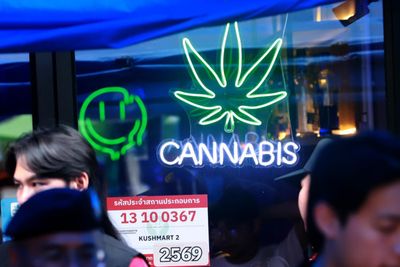Cannabis market barely dented by new rules