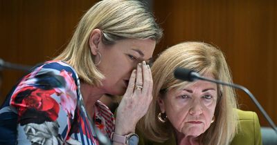 Senate estimates as it happened: Infrastructure boss gives a 'kind of' oath on transparency