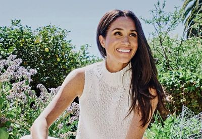 Meghan Markle Reportedly Thinks Harry Is Ruining Her Solo Brand Value
