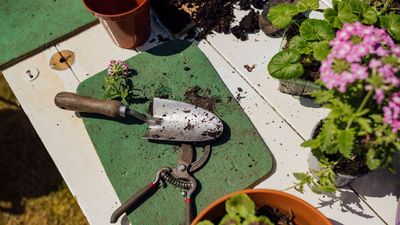 This Pocket Trowel is One of the Most Versatile Gardening Tools I've Seen – and it's on Sale Right Now
