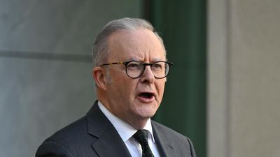 'Hoarding has stopped': Albanese reveals fuel levels