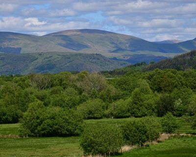 Country diary: One turn inland, and the valley opens up before me
