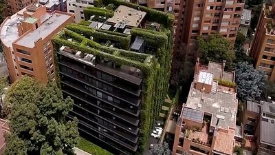 Vertical gardens are a practical – and beautiful – way to cool down cities