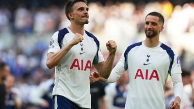 Premier League: Tottenham beat Everton to stay in top flight