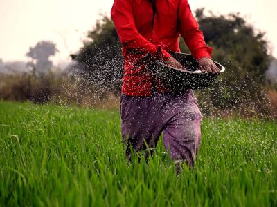 German firm B+H Solutions to invest 1 mn euro in India to expand nano-fertiliser business