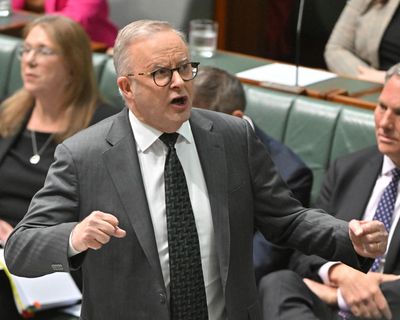 Albanese forges ahead with CGT and negative gearing plan while flagging possible business carve-outs