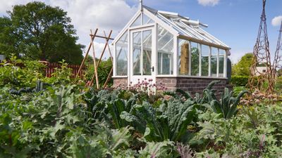 7 Smart Ways to Use a Greenhouse in Small Gardens – And Turn Yours Into the Hardest-Working Part of Your Yard