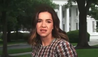 Who Is Julie Tsirkin, Viral 'Clueless Reporter' in White House Shooting Coverage?