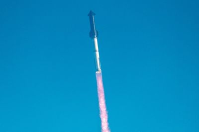 Could Launching Tumors Into Space Help Medicine Beat Cancer?